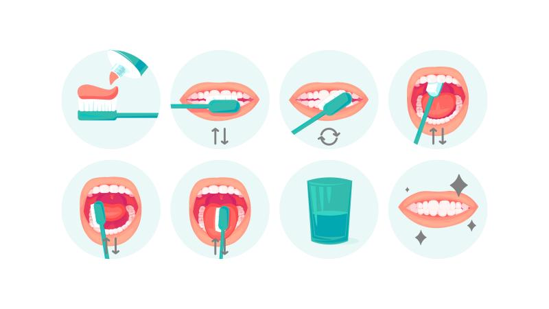 sequence of pictures explaining how to brush your teeth properly step by step 